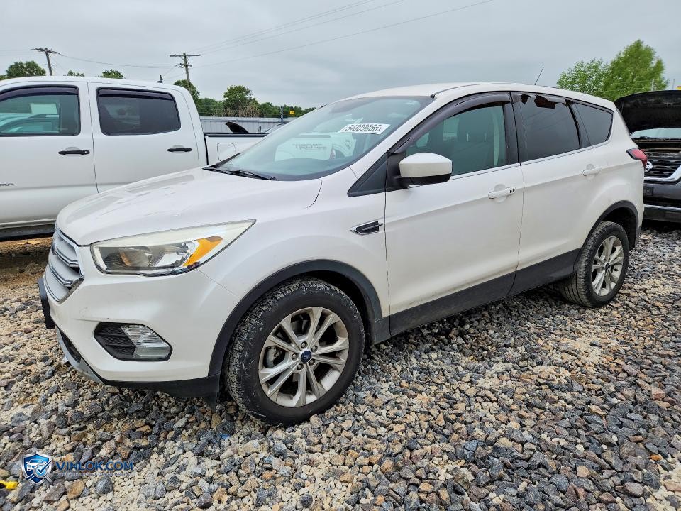 2019 FORD ESCAPE SE – Lot 54309066 auction photo