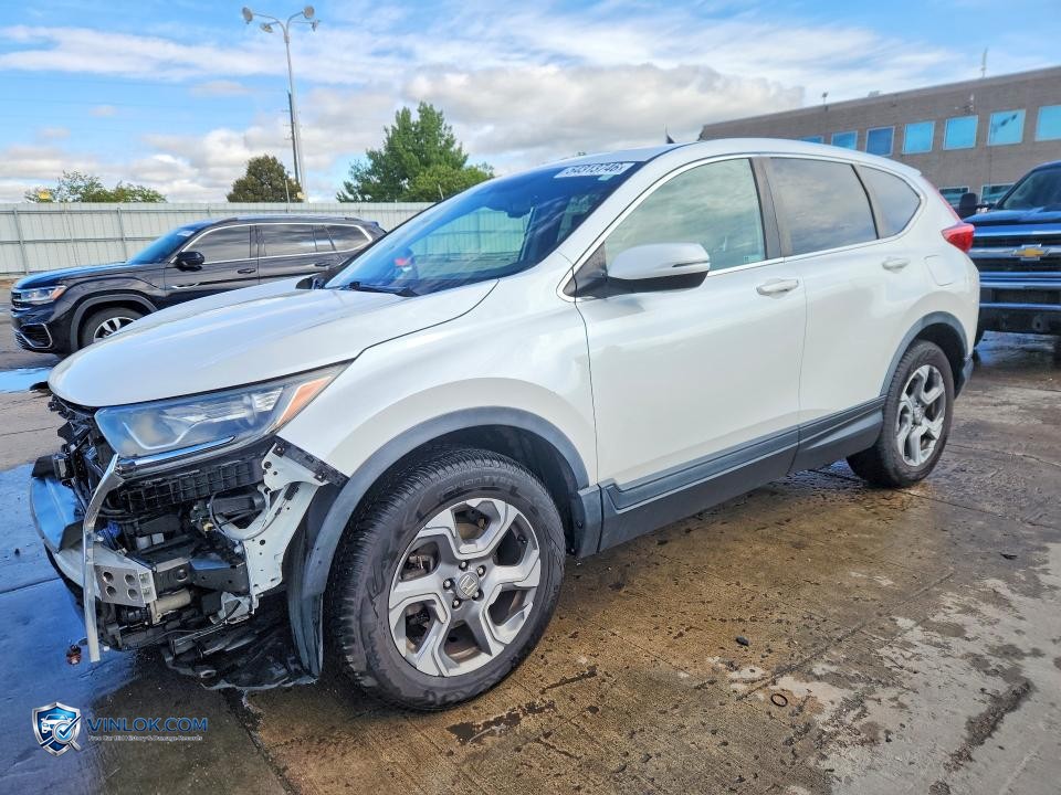 2019 HONDA CR-V EXL – Lot 54313746 auction photo