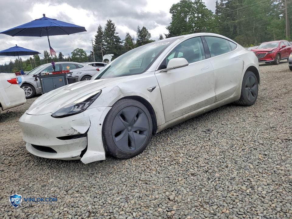 2020 TESLA MODEL 3 – Lot 54318346 auction photo
