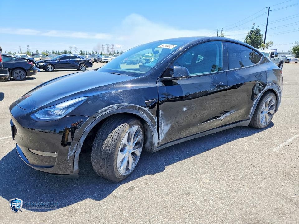 2023 TESLA MODEL Y – Lot 54340496 auction photo