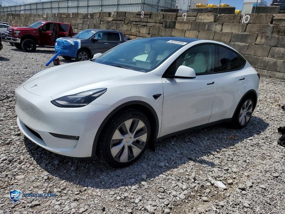 2023 TESLA MODEL Y – Lot 54351686 auction photo