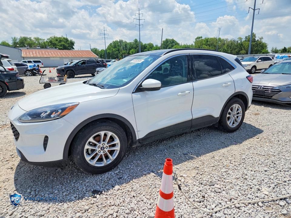 2020 FORD ESCAPE SE – Lot 54382686 auction photo