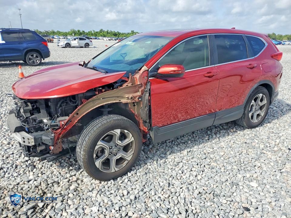 2019 HONDA CR-V EXL – Lot 54384526 auction photo