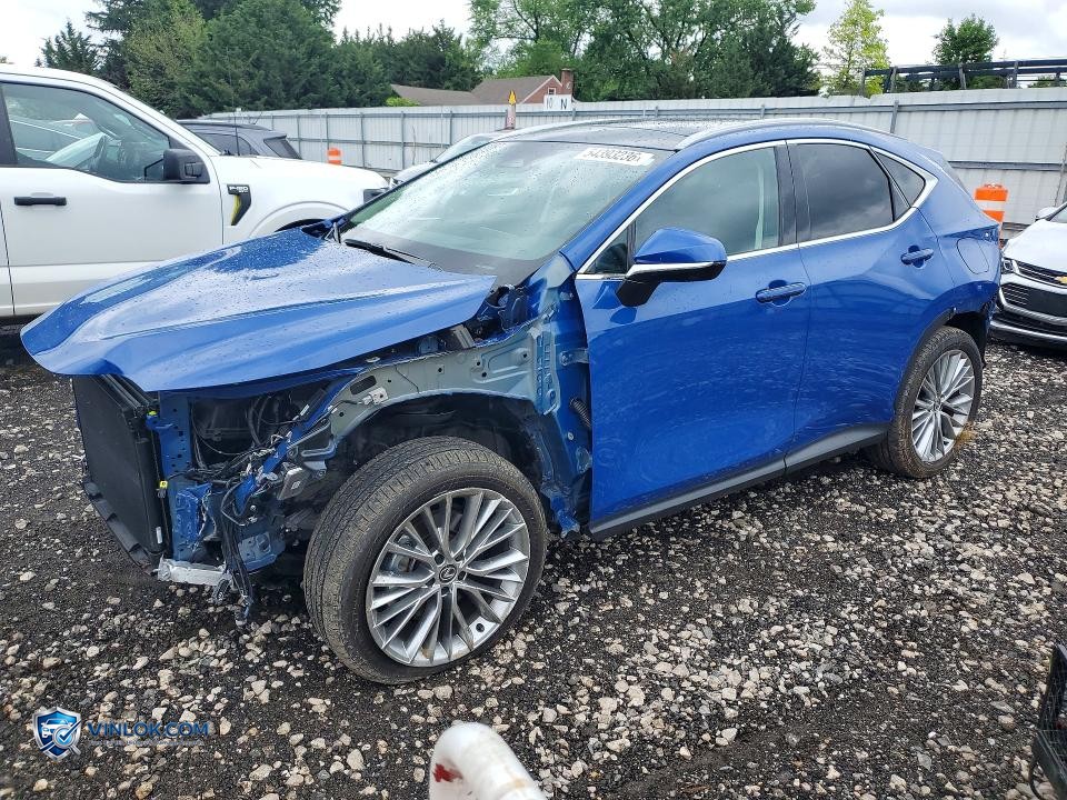 2025 LEXUS NX 350 LUXURY – Lot 54393236 auction photo