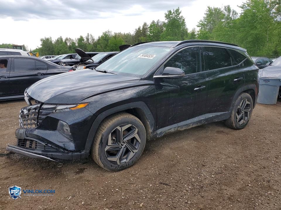 2023 HYUNDAI TUCSON LUXURY – Lot 54404526 auction photo