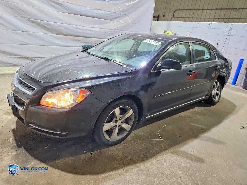 2009 CHEVROLET MALIBU 2LT – Lot 54411806 auction photo