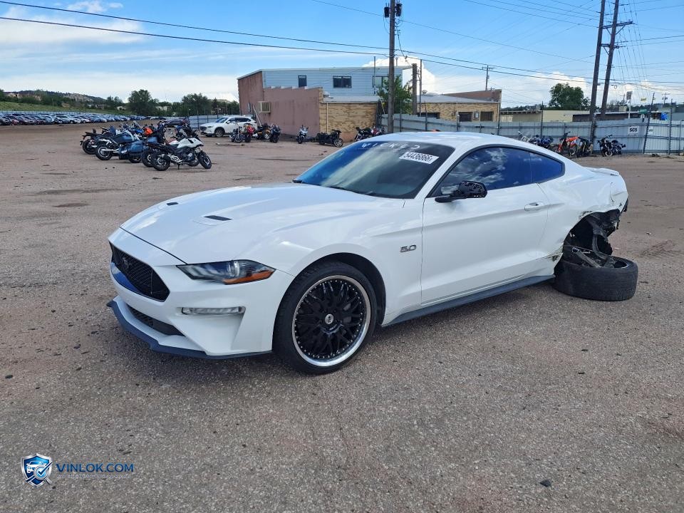 2019 FORD MUSTANG GT – Lot 54436866 auction photo