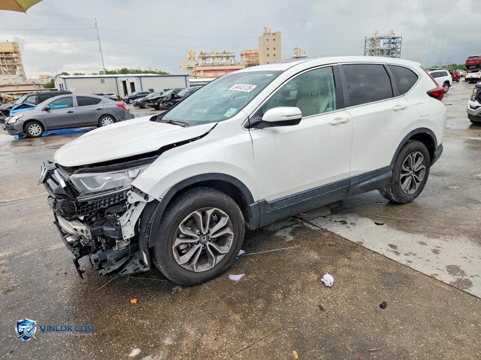 2021 HONDA CR-V EXL – Lot 54445126 auction photo