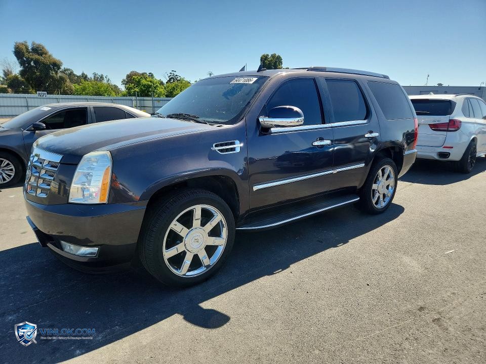 2010 CADILLAC ESCALADE LUXURY – Lot 54471086 auction photo