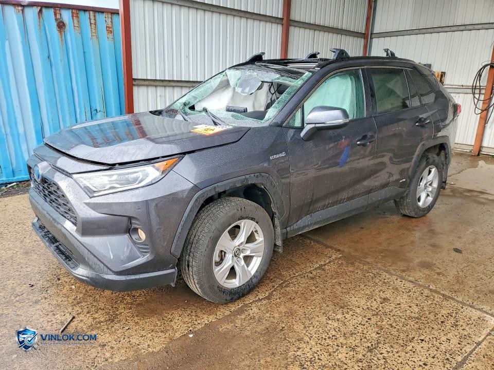 2021 TOYOTA RAV4 HYBRID XLE – Lot 54480266 auction photo