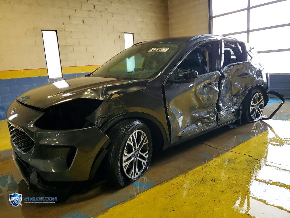 2020 FORD ESCAPE SEL – Lot 54481586 auction photo