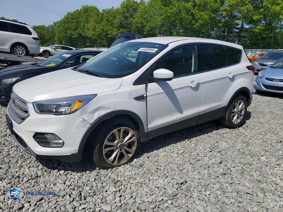 2019 FORD ESCAPE SE – Lot 54489966 auction photo
