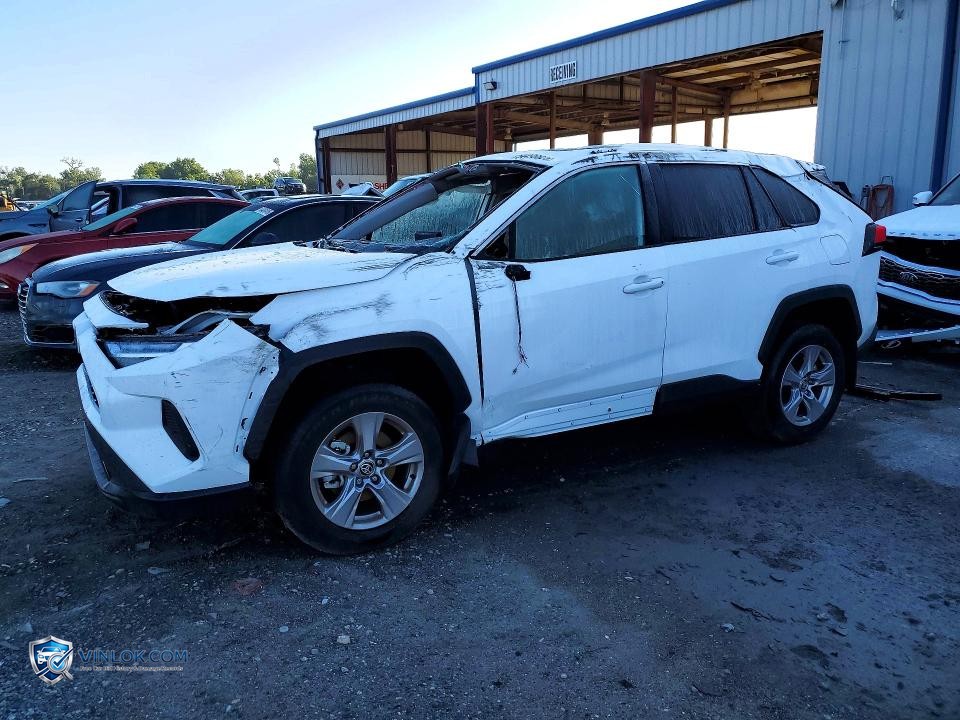 2025 TOYOTA RAV4 XLE – Lot 54498826 auction photo