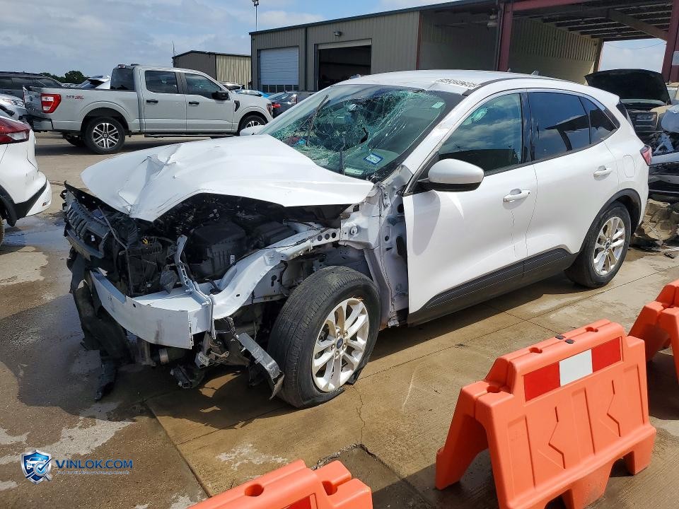 2020 FORD ESCAPE SE – Lot 54509296 auction photo