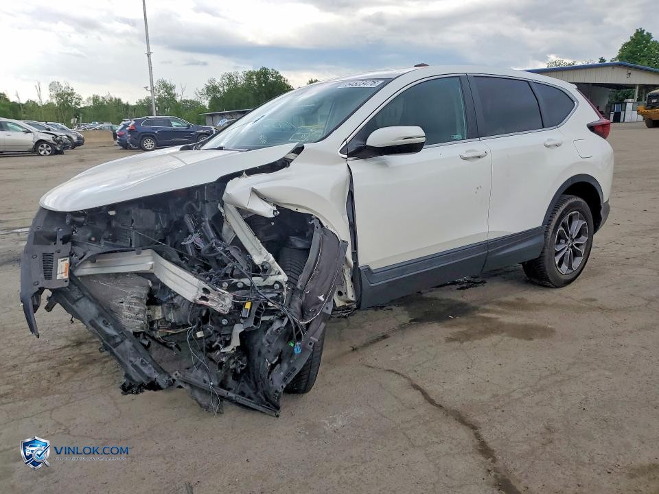 2022 HONDA CR-V EX – Lot 54523476 auction photo