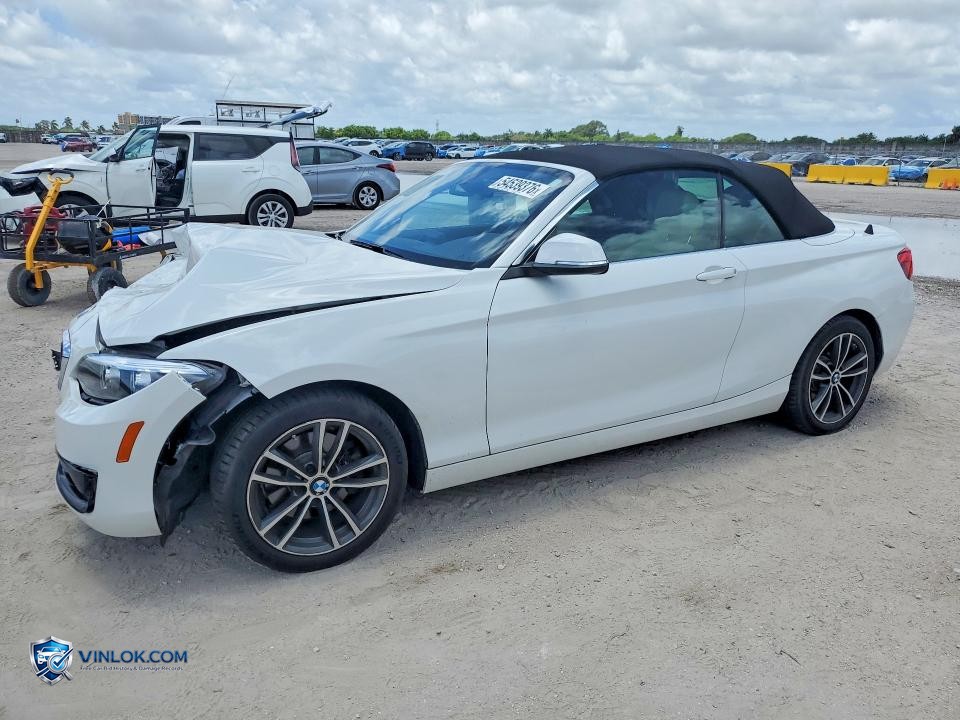 2018 BMW 230I – Lot 54539376 auction photo