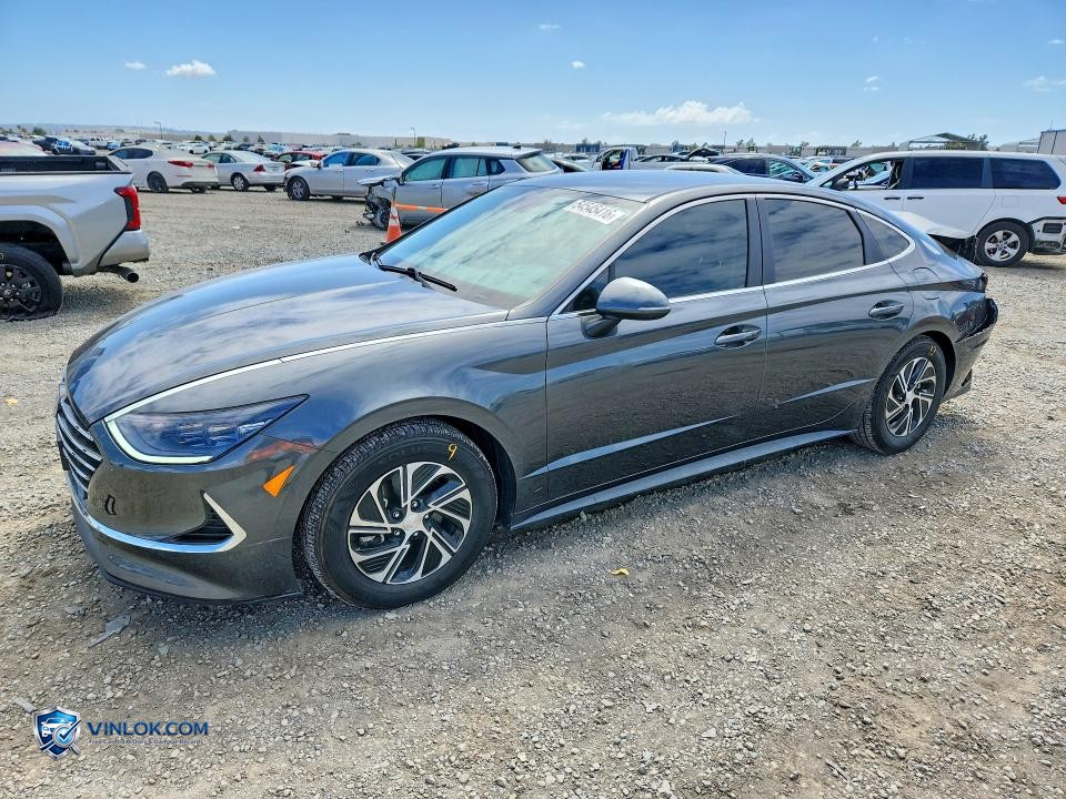 2023 HYUNDAI SONATA HYBRID BLUE – Lot 54545416 auction photo