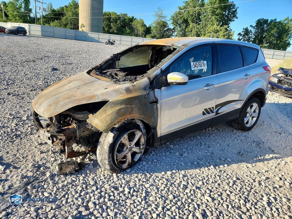 2013 FORD ESCAPE SE – Lot 54576516 auction photo