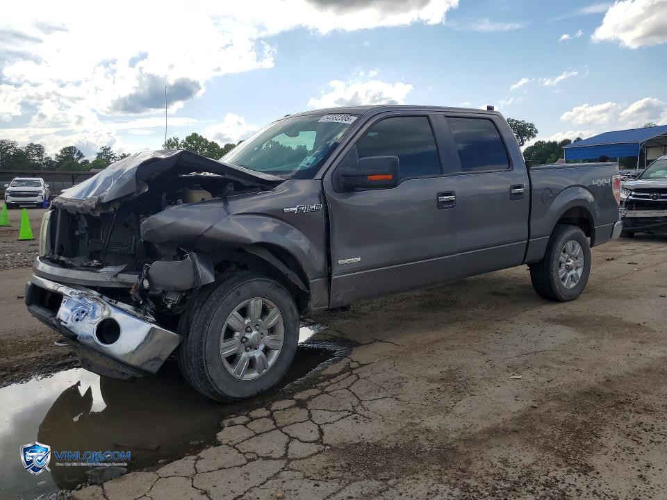 2011 FORD F150 SUPERCREW – Lot 54582386 auction photo