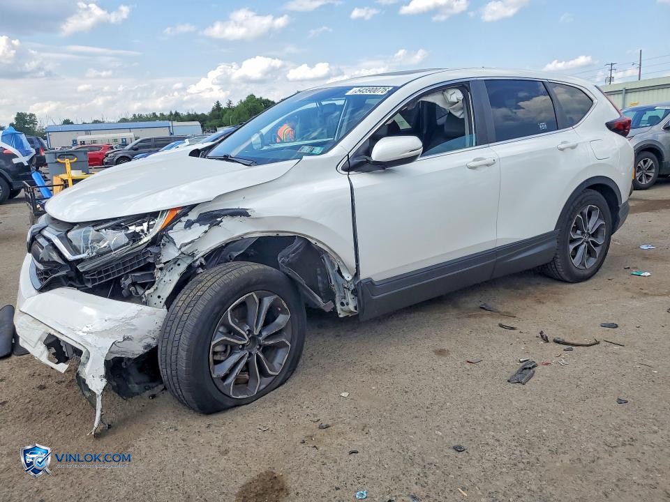 2022 HONDA CR-V EXL – Lot 54590076 auction photo