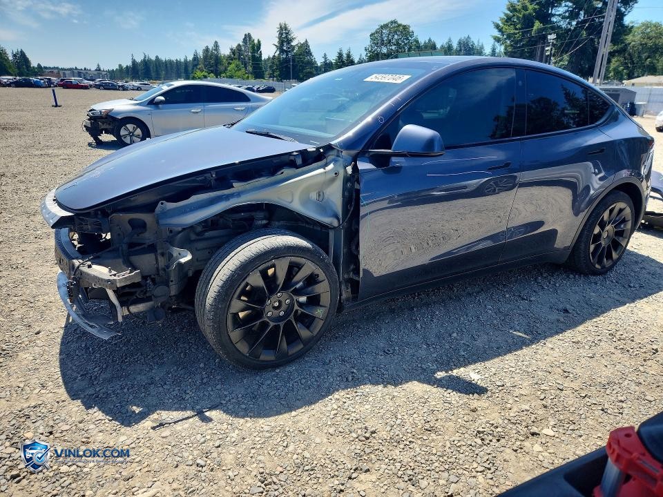 2021 TESLA MODEL Y – Lot 54597046 auction photo
