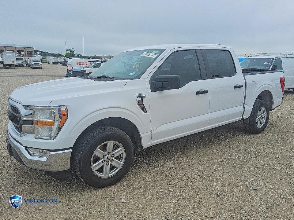 2021 FORD F150 SUPERCREW – Lot 54601936 auction photo