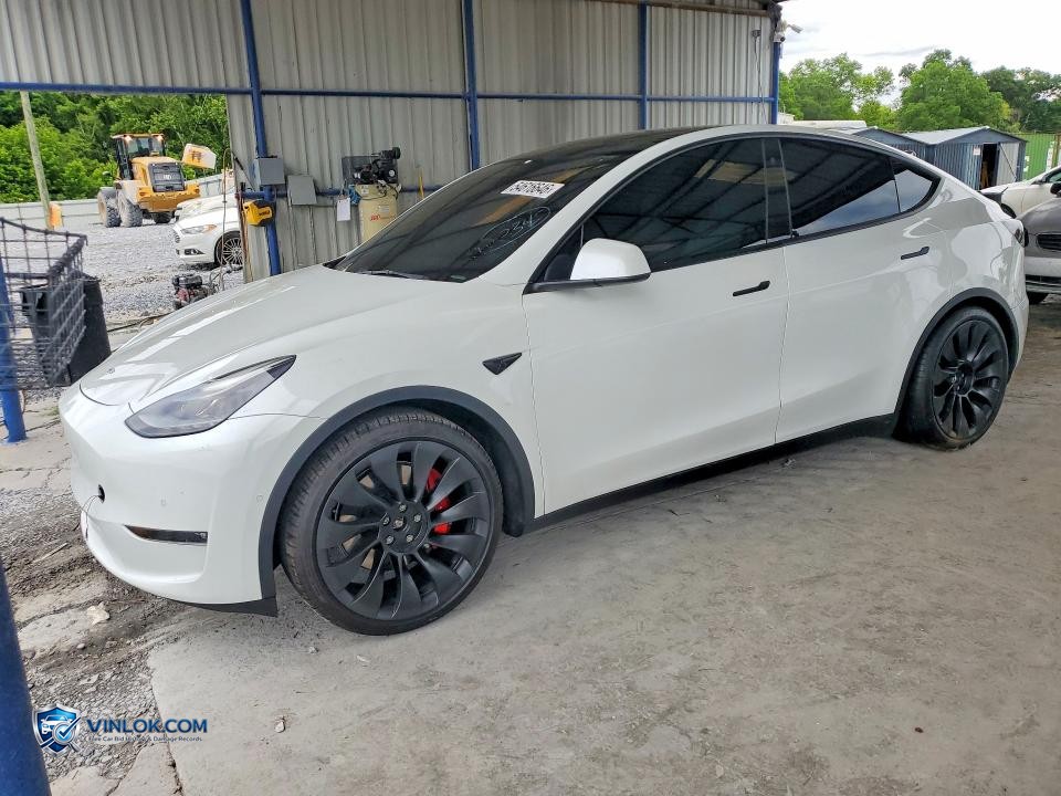 2022 TESLA MODEL Y – Lot 54616646 auction photo