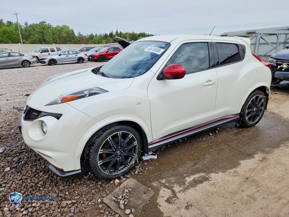 2014 NISSAN JUKE S – Lot 54616906 auction photo