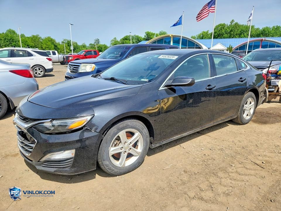 2019 CHEVROLET MALIBU LS – Lot 54626026 auction photo