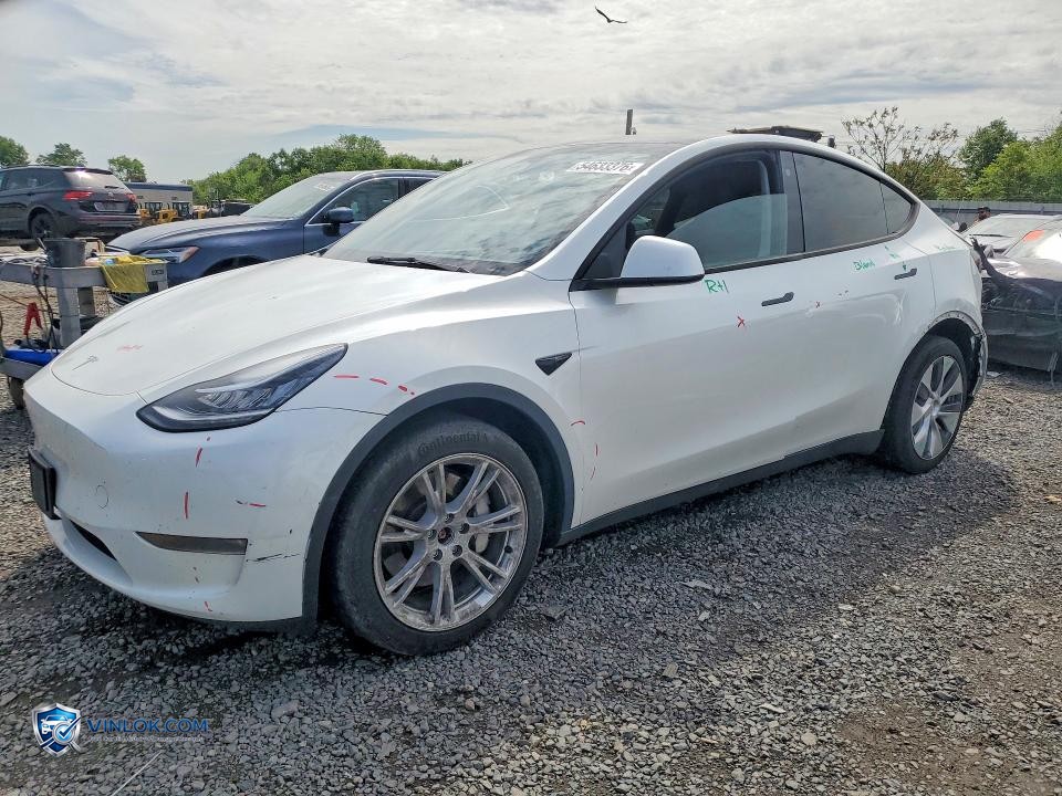 2023 TESLA MODEL Y – Lot 54633376 auction photo