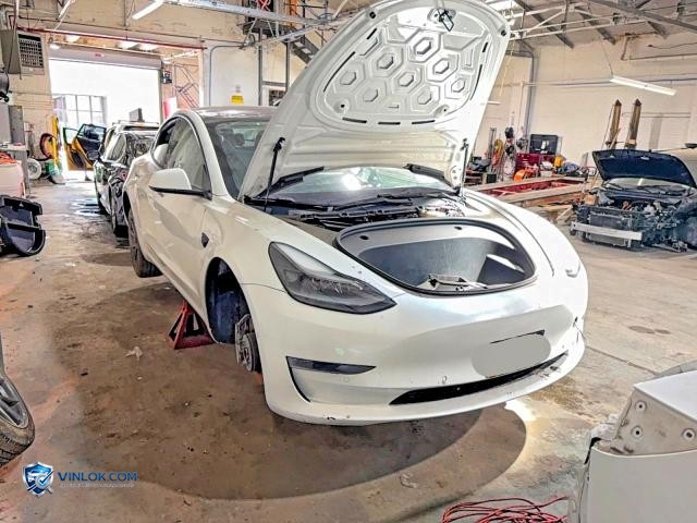 2021 TESLA MODEL 3 – Lot 54638076 auction photo