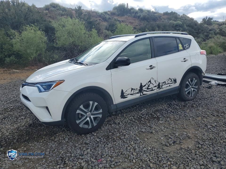 2018 TOYOTA RAV4 LE – Lot 54655746 auction photo