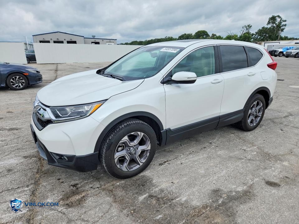 2019 HONDA CR-V EXL – Lot 54657096 auction photo