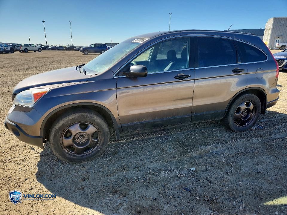 2009 HONDA CR-V LX – Lot 54659046 auction photo