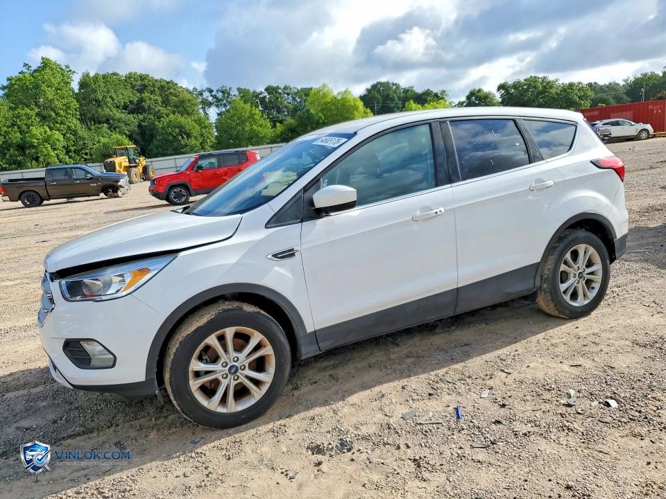 2019 FORD ESCAPE SE – Lot 54665176 auction photo