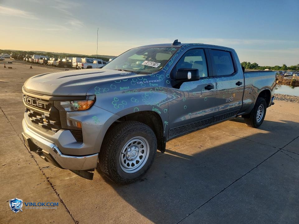 2025 CHEVROLET SILVERADO C1500 – Lot 54665816 auction photo