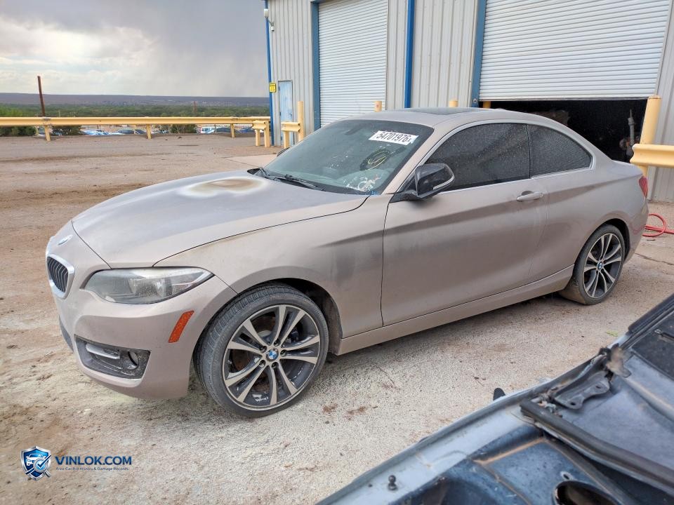 2015 BMW 228 I – Lot 54701976 auction photo