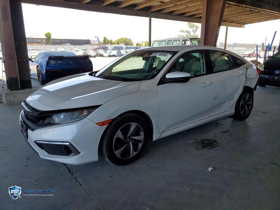 2019 HONDA CIVIC LX – Lot 54719856 auction photo
