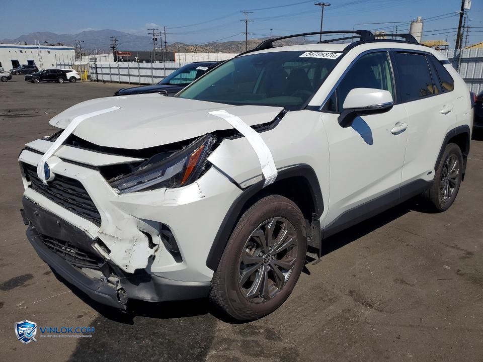 2024 TOYOTA RAV4 XLE PREMIUM – Lot 54728376 auction photo
