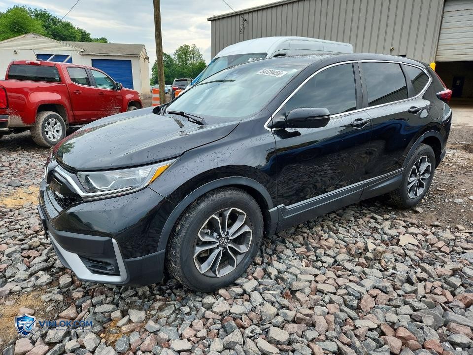 2020 HONDA CR-V EX – Lot 54729456 auction photo