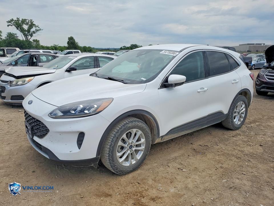 2020 FORD ESCAPE – Lot 54730386 auction photo