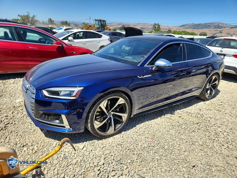 2019 AUDI S5 PRESTIGE – Lot 54805656 auction photo