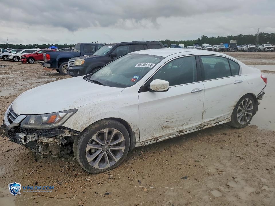 2015 HONDA ACCORD SPORT – Lot 54808356 auction photo