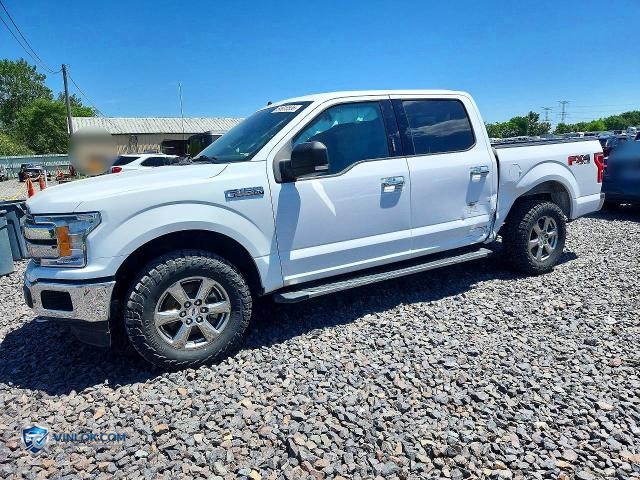 2020 FORD F150 SUPERCREW – Lot 54815536 auction photo
