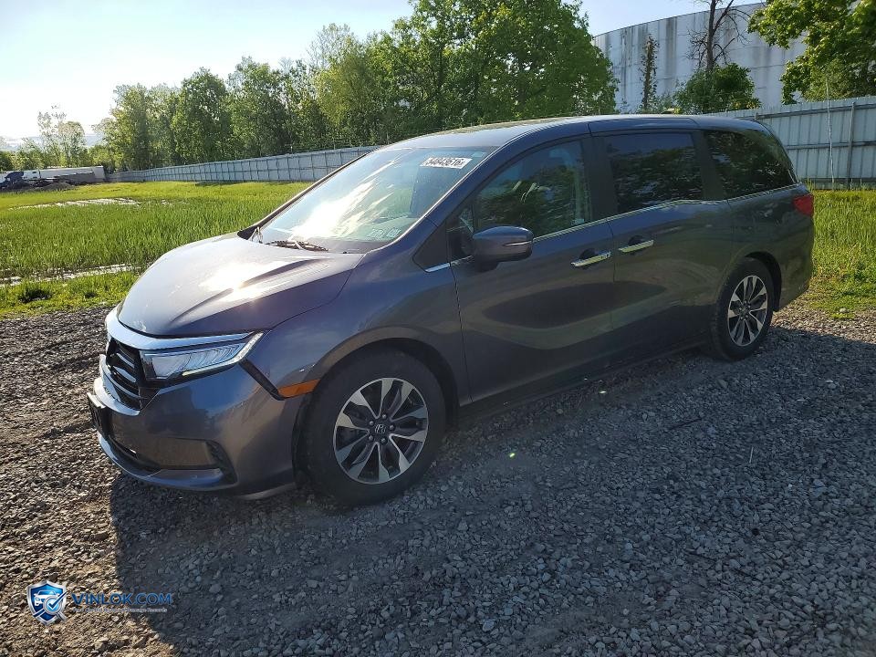 2022 HONDA ODYSSEY EXL – Lot 54843616 auction photo