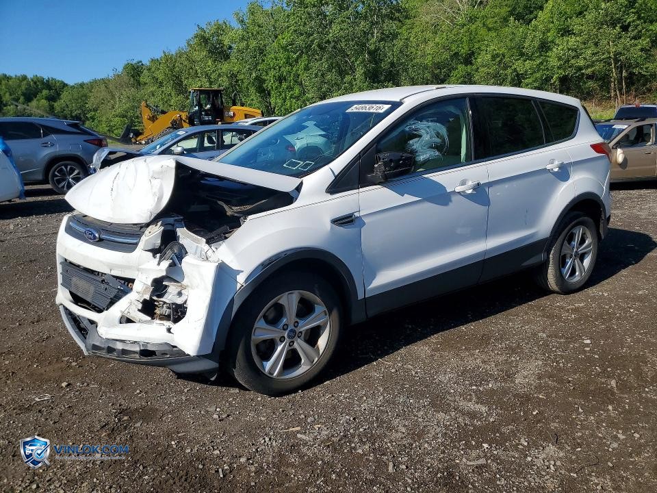 2013 FORD ESCAPE SE – Lot 54863616 auction photo