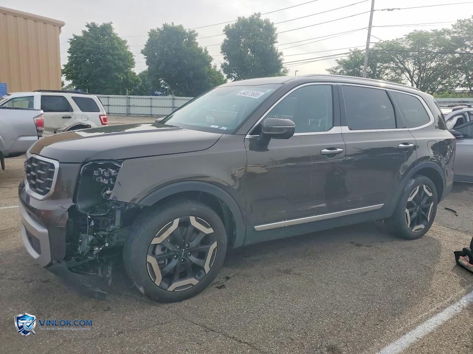 2023 KIA TELLURIDE S – Lot 54873686 auction photo