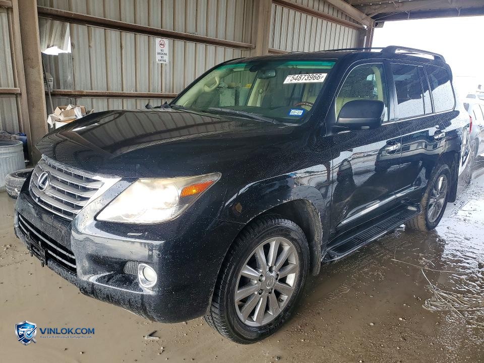 2010 LEXUS LX 570 – Lot 54873966 auction photo
