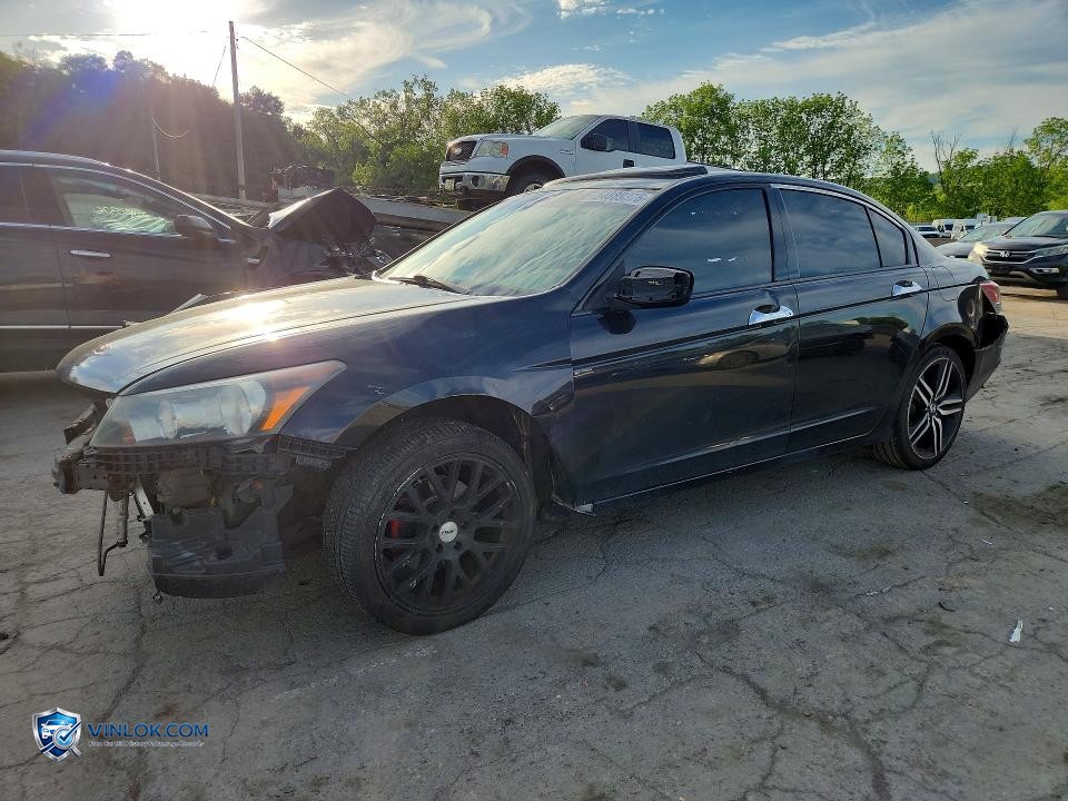 2008 HONDA ACCORD EXL – Lot 54889376 auction photo