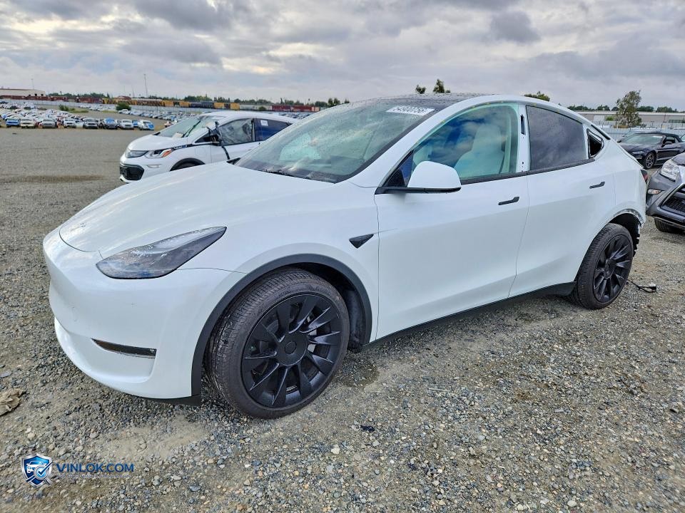 2023 TESLA MODEL Y – Lot 54900756 auction photo